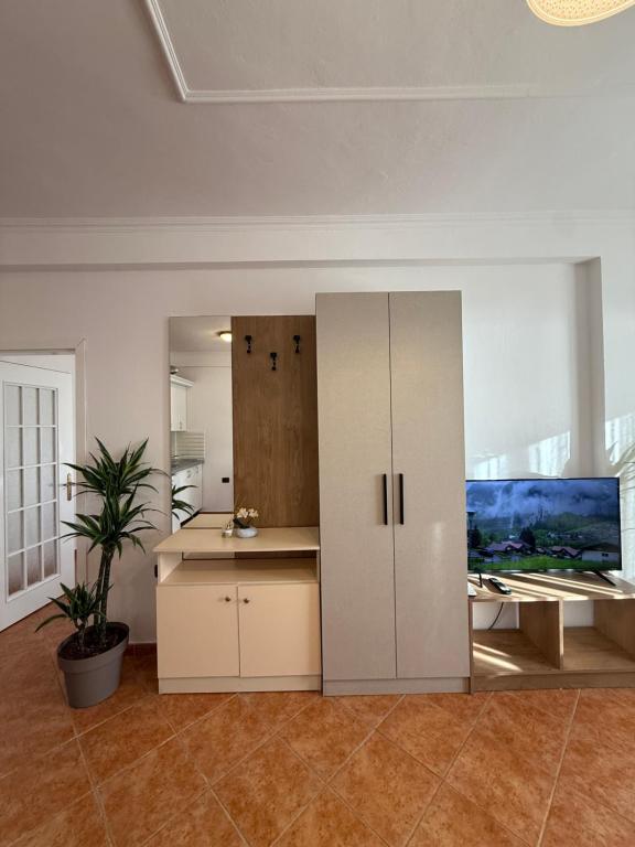 Wide view of suite wardrobe and built-in TV unit