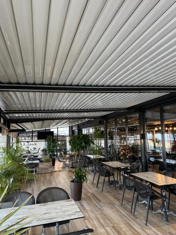 Covered terrace with pergola and plants
